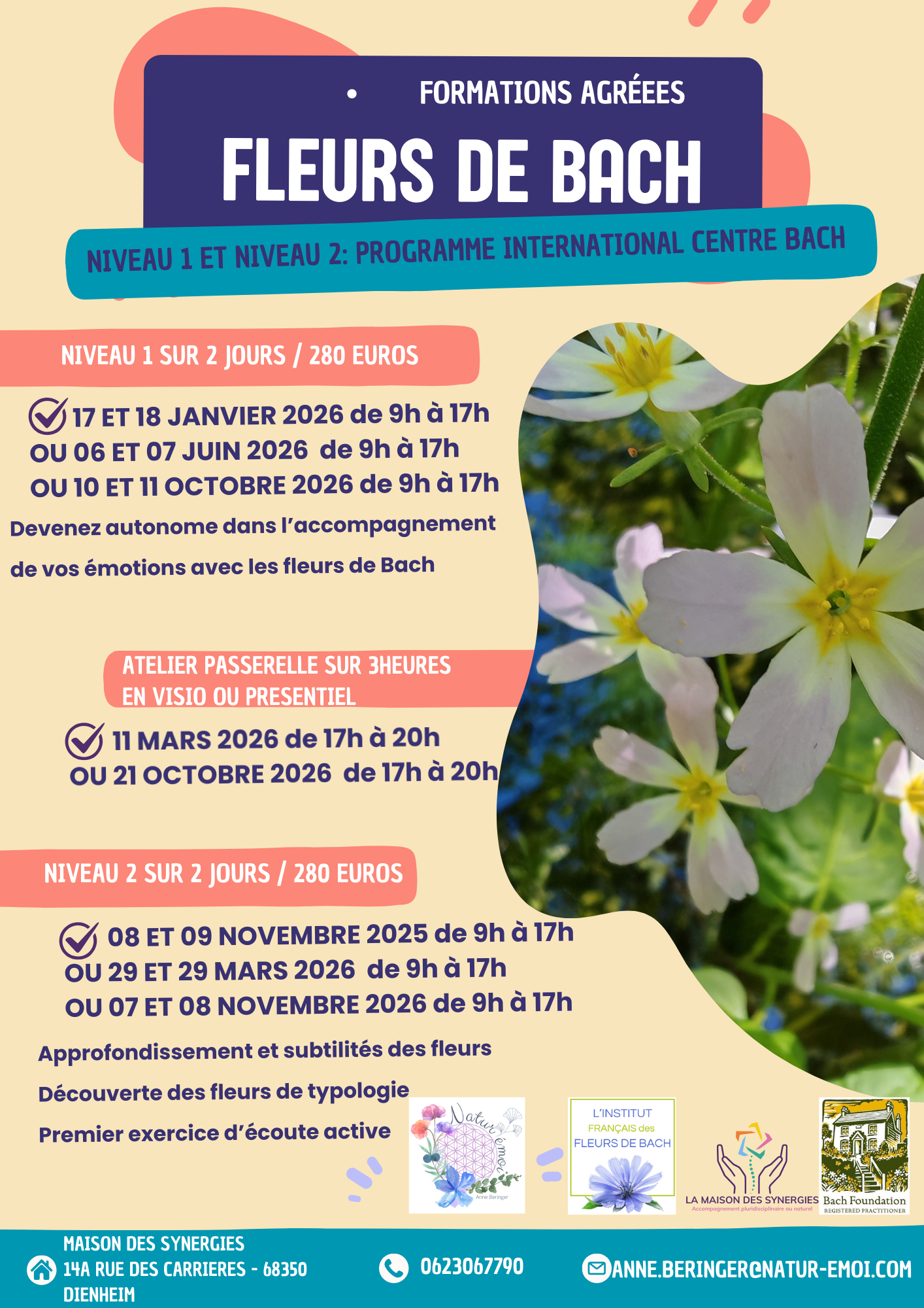 Document A4 Recrutement Bénévoles Association Formes Bleu et Rose.png