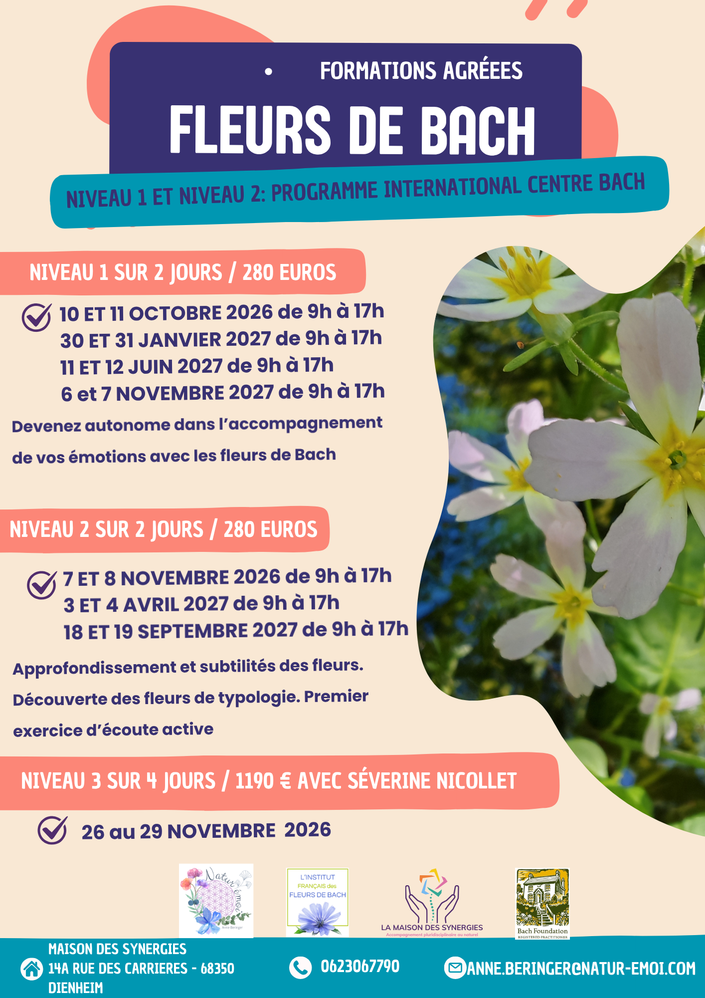 Document A4 Recrutement Bénévoles Association Formes Bleu et Rose.png